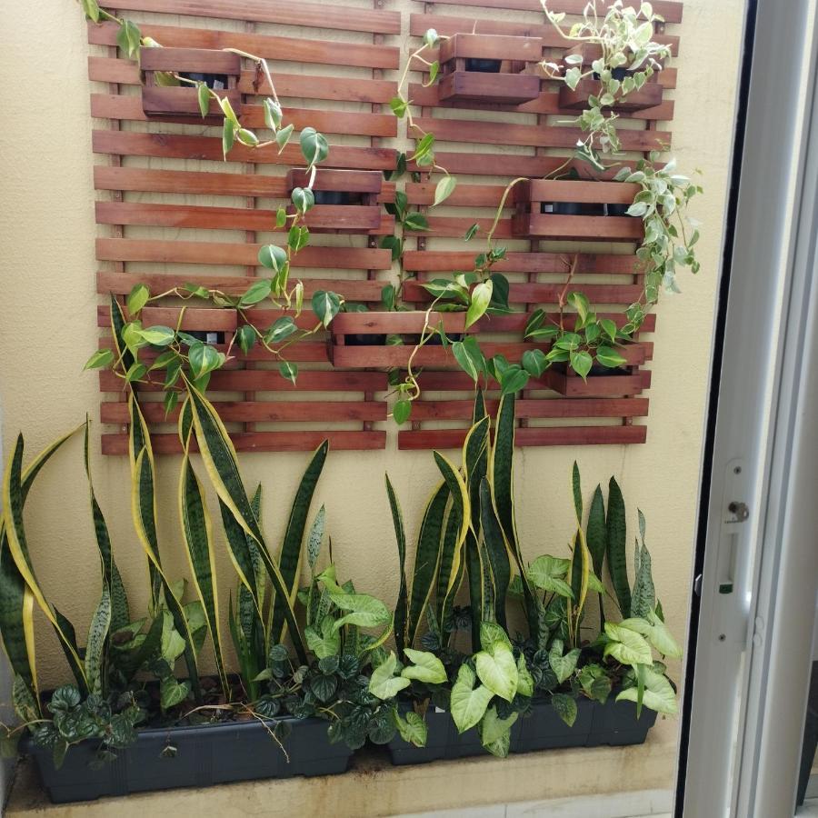 Apartament Flat Santa Cruz II Santa Cruz do Sul Zewnętrze zdjęcie